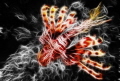   Lionfish.... Lionfish....! Lionfish! Lionfish  
